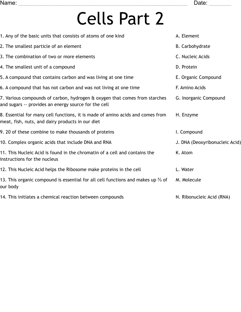 Cells Part 2 Worksheet