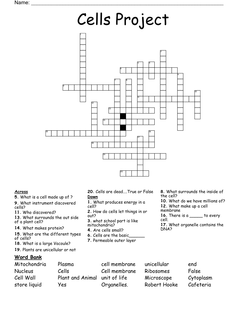 Cells Project Crossword