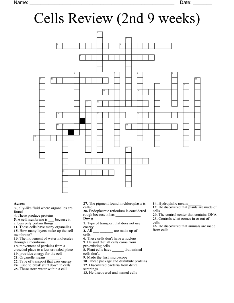 Cells Review (2nd 9 weeks) Crossword