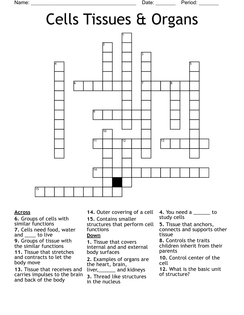 Cells Tissues & Organs Crossword