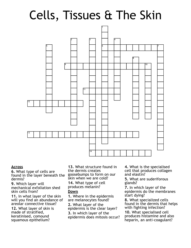 Cells, Tissues & The Skin Crossword