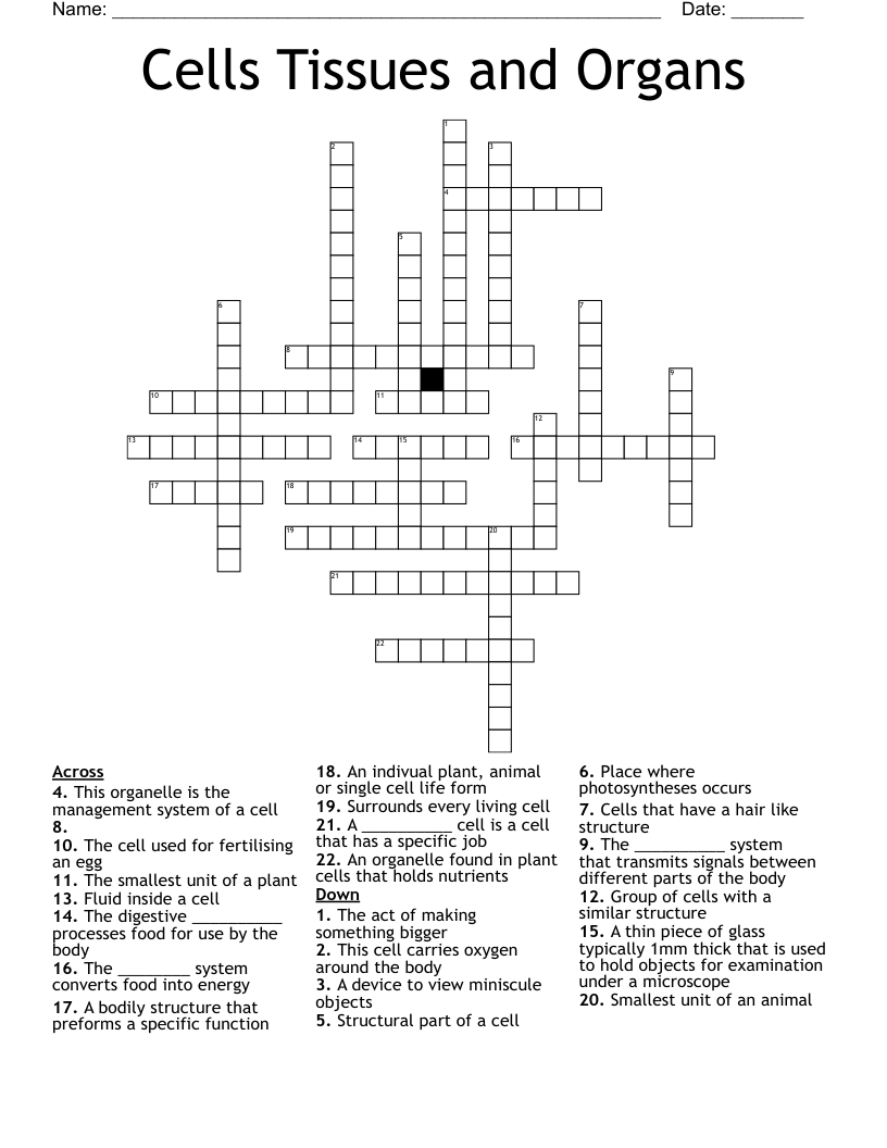 Cells Tissues and Organs Crossword