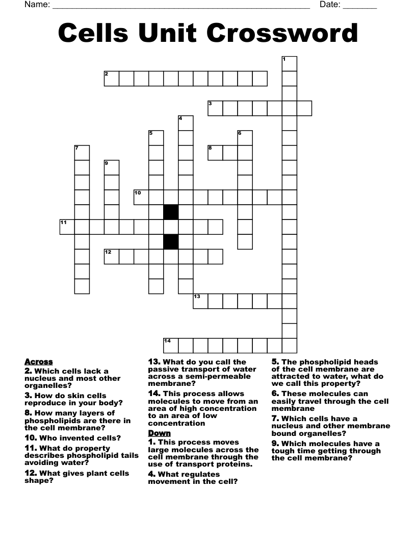 Cells Unit Crossword