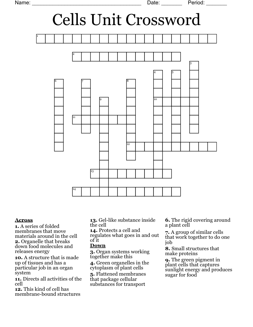 Cells Unit Crossword