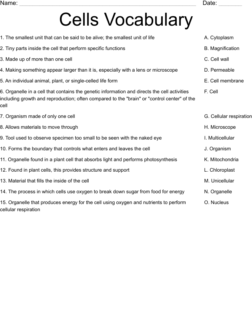 Cells Vocabulary Worksheet