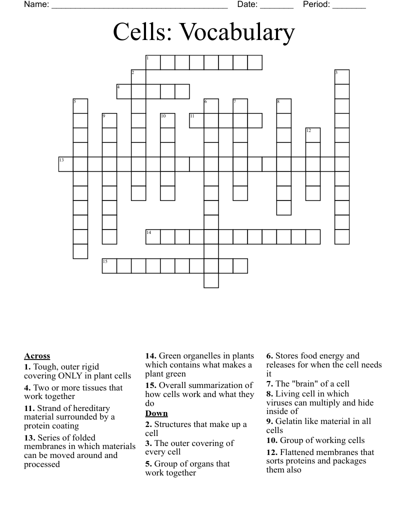 Cells: Vocabulary Crossword