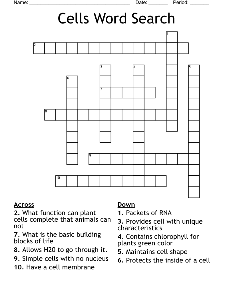 Cells Word Search Crossword