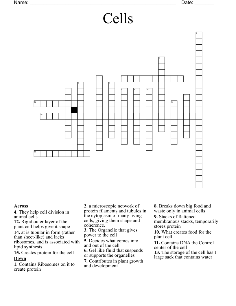 Cells  Crossword