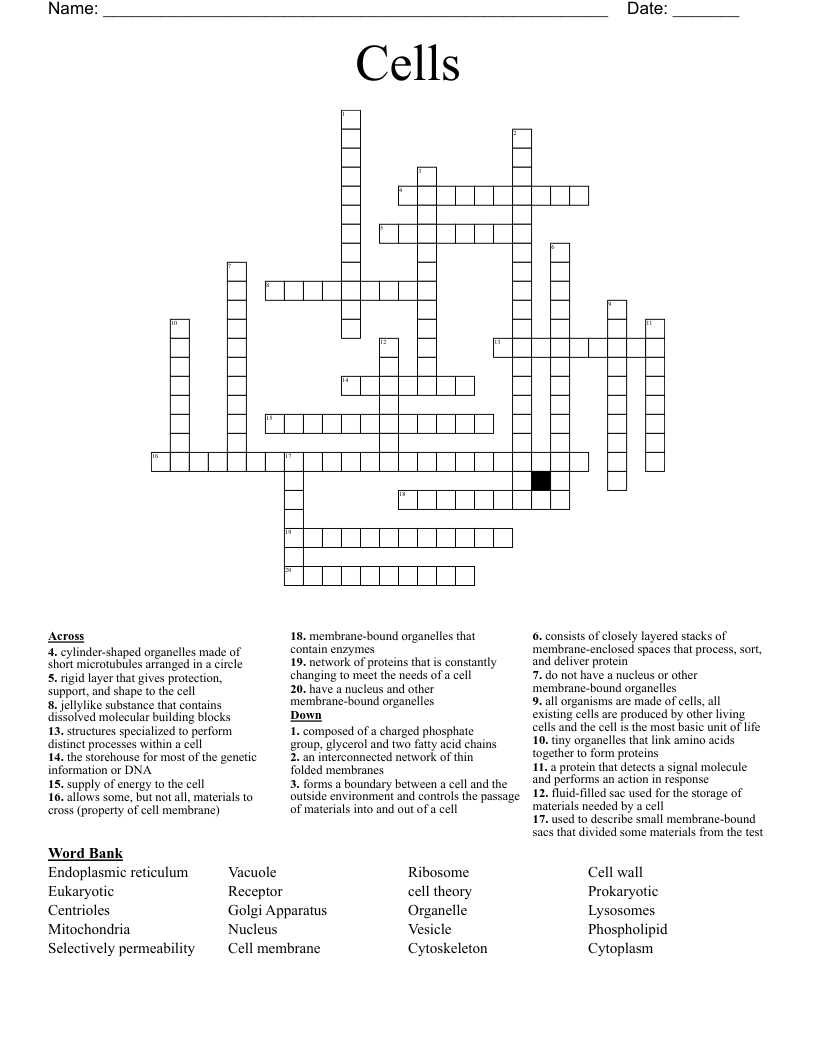 Cells  Crossword