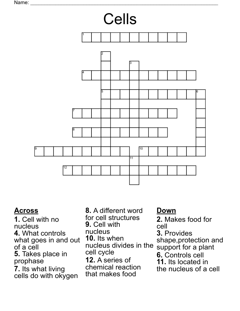 Cells  Crossword