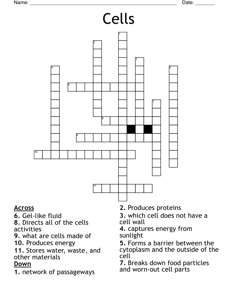 Cells  Crossword