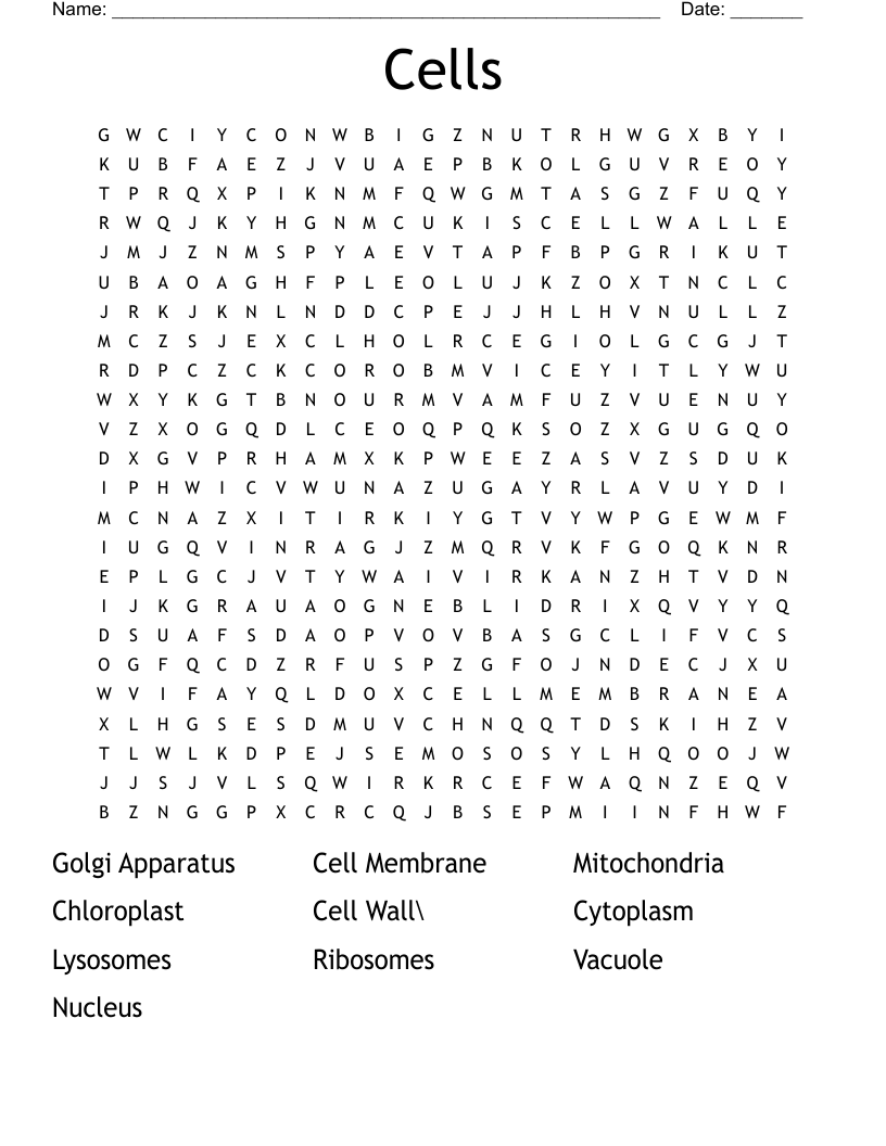 Cells  Word Search