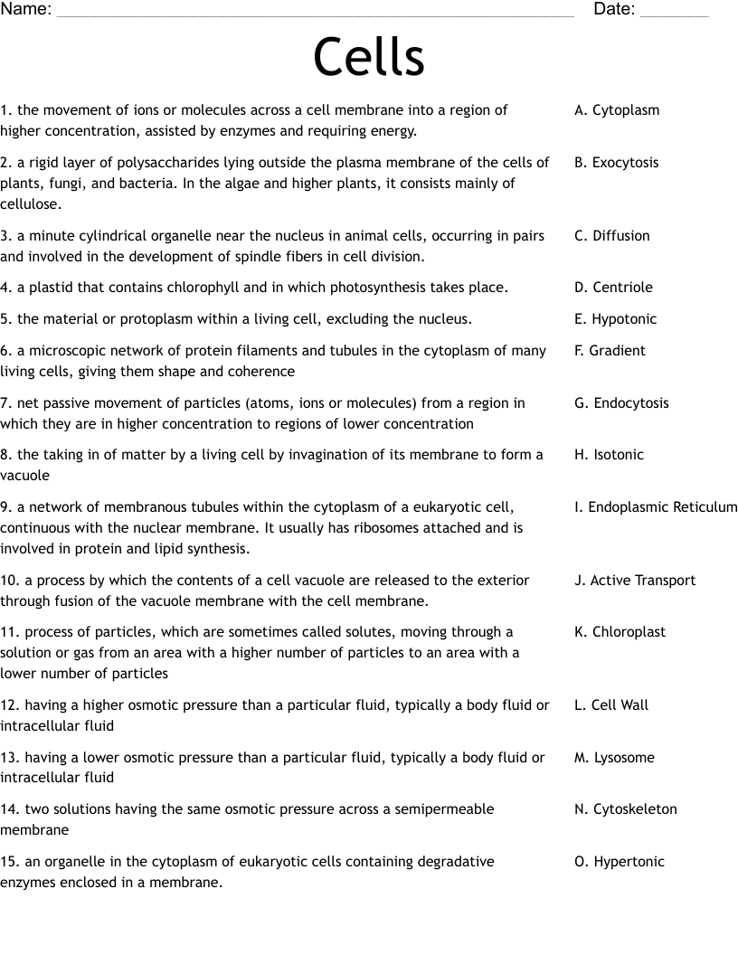 Cells  Worksheet