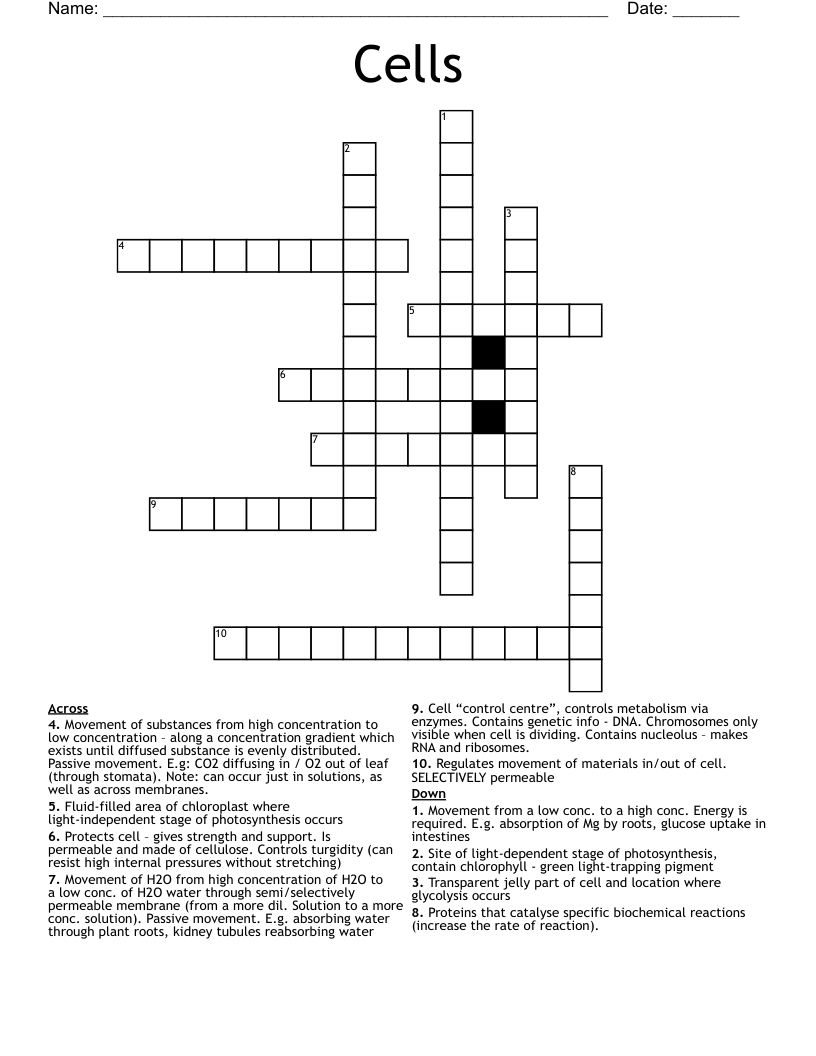 Cells  Crossword