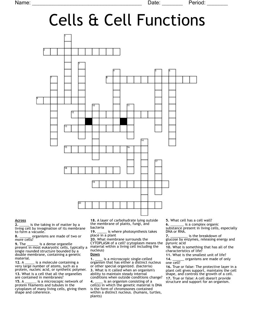 Cells & Cell Functions Crossword