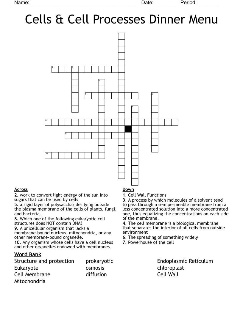Cells & Cell Processes Dinner Menu Crossword