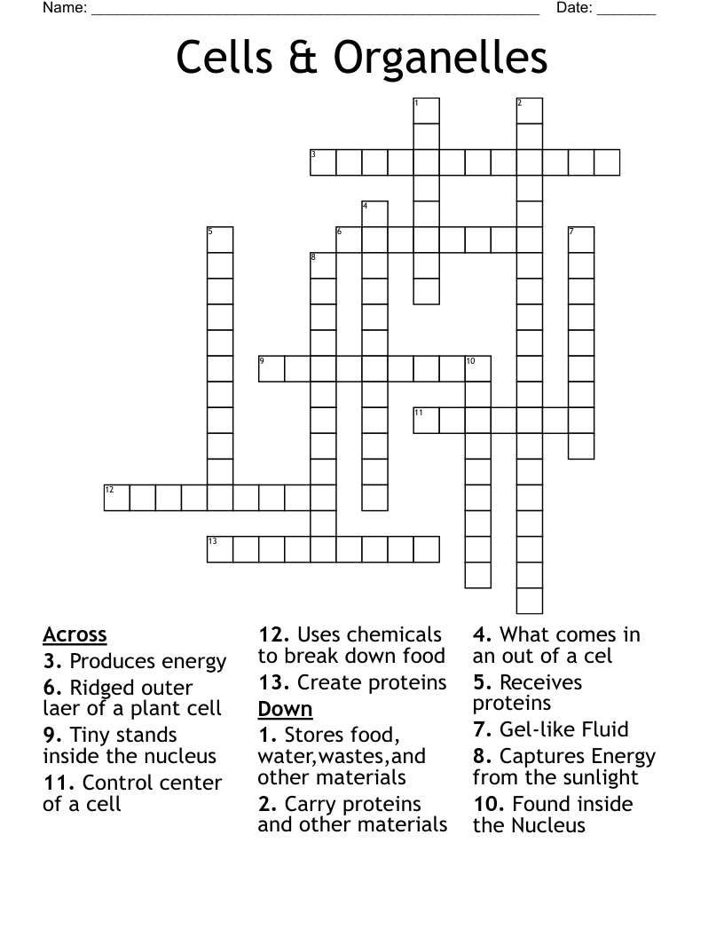 Cells & Organelles Crossword