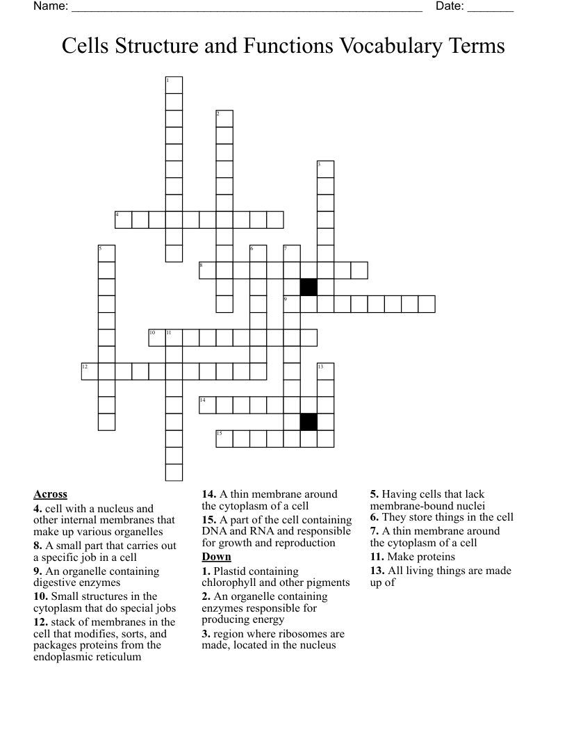 Cells  Structure and Functions Vocabulary Terms Crossword