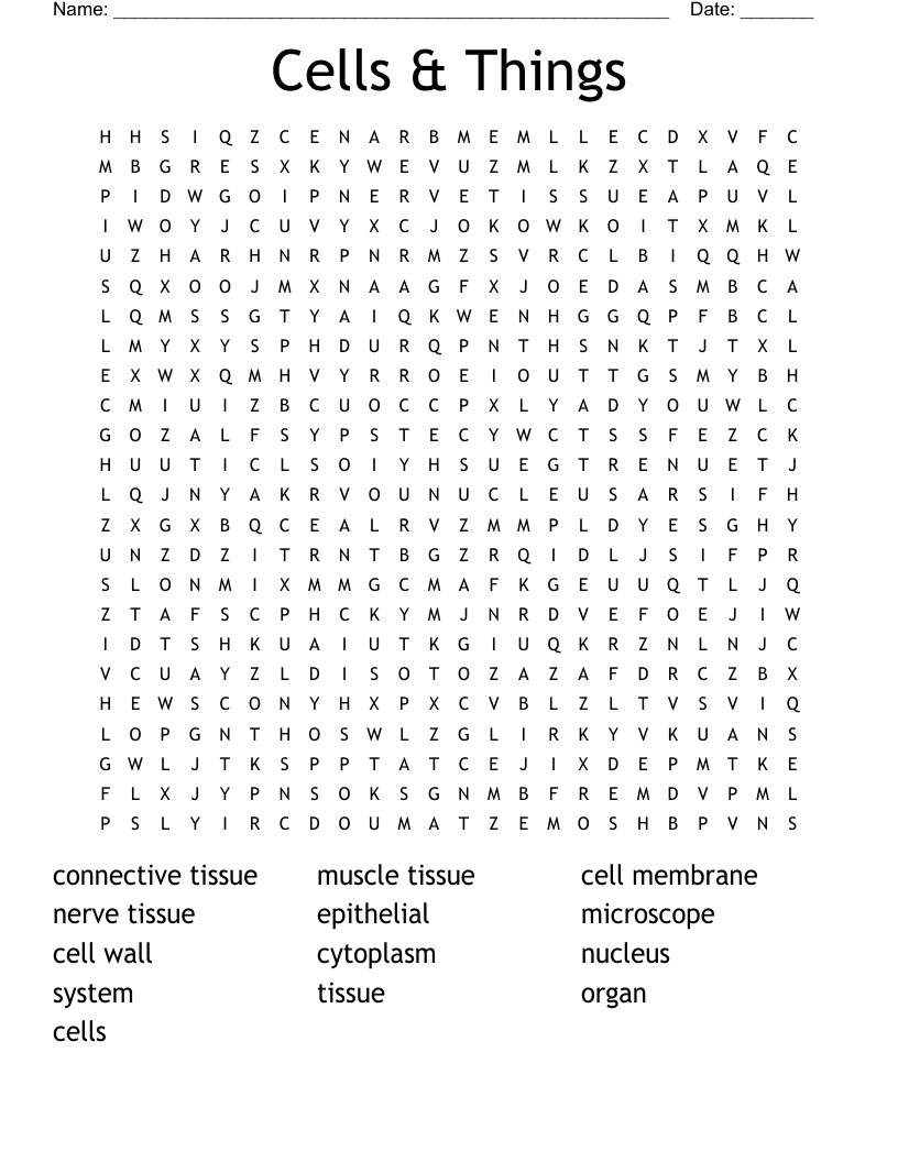 Cells & Things Word Search