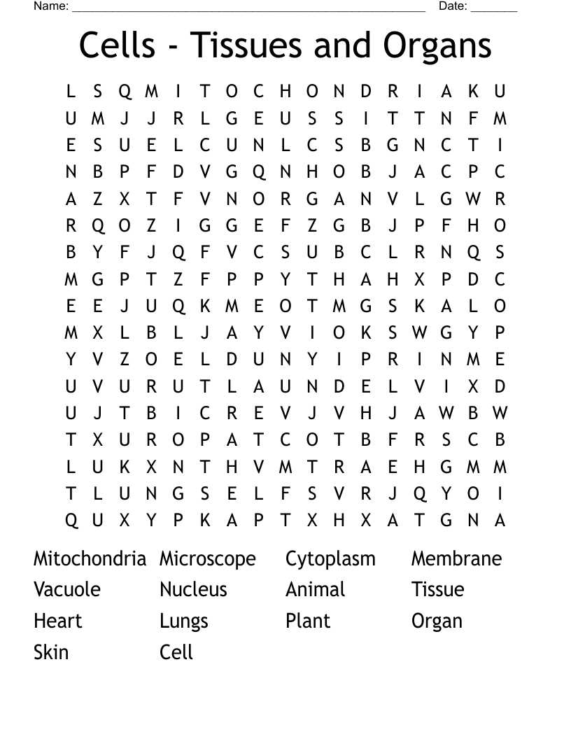 Cells - Tissues and Organs Word Search