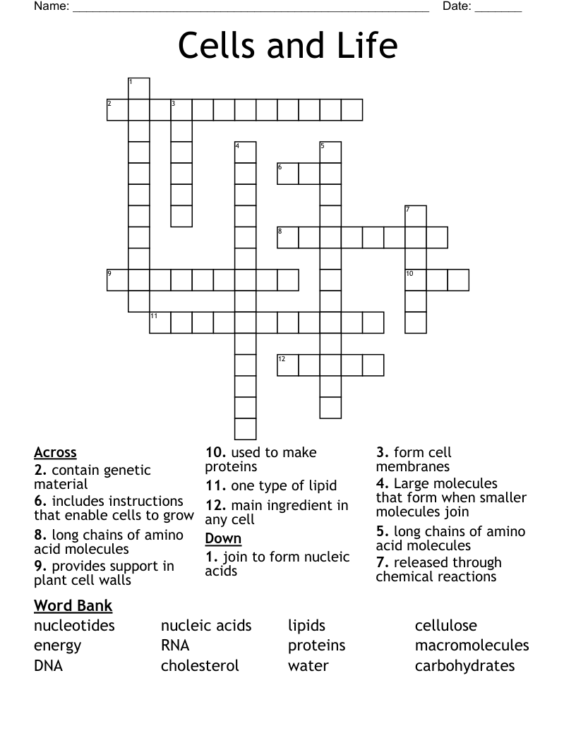 Cells and Life  Crossword