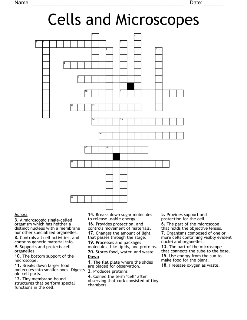 Cells and Microscopes Crossword