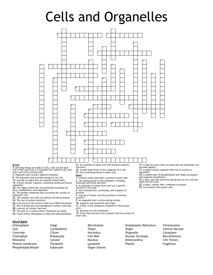 Cells and Organelles Crossword
