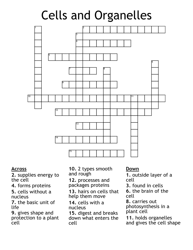 Cells and Organelles Crossword