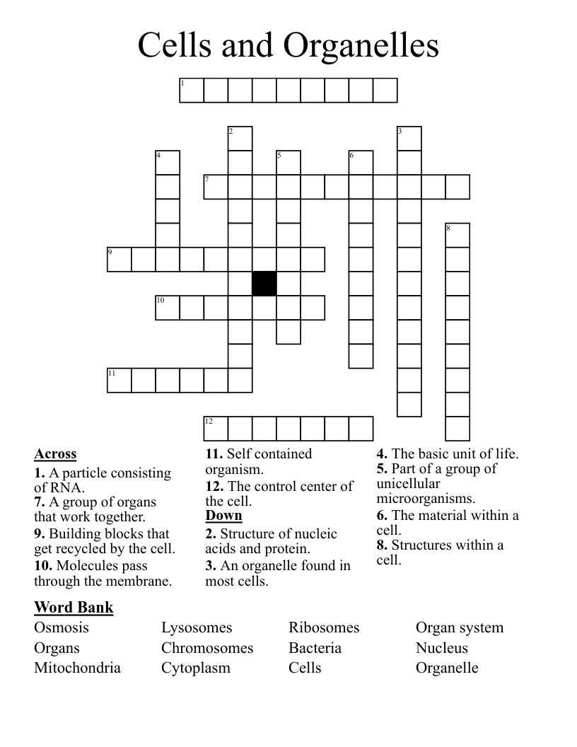 Cells and Organelles Crossword