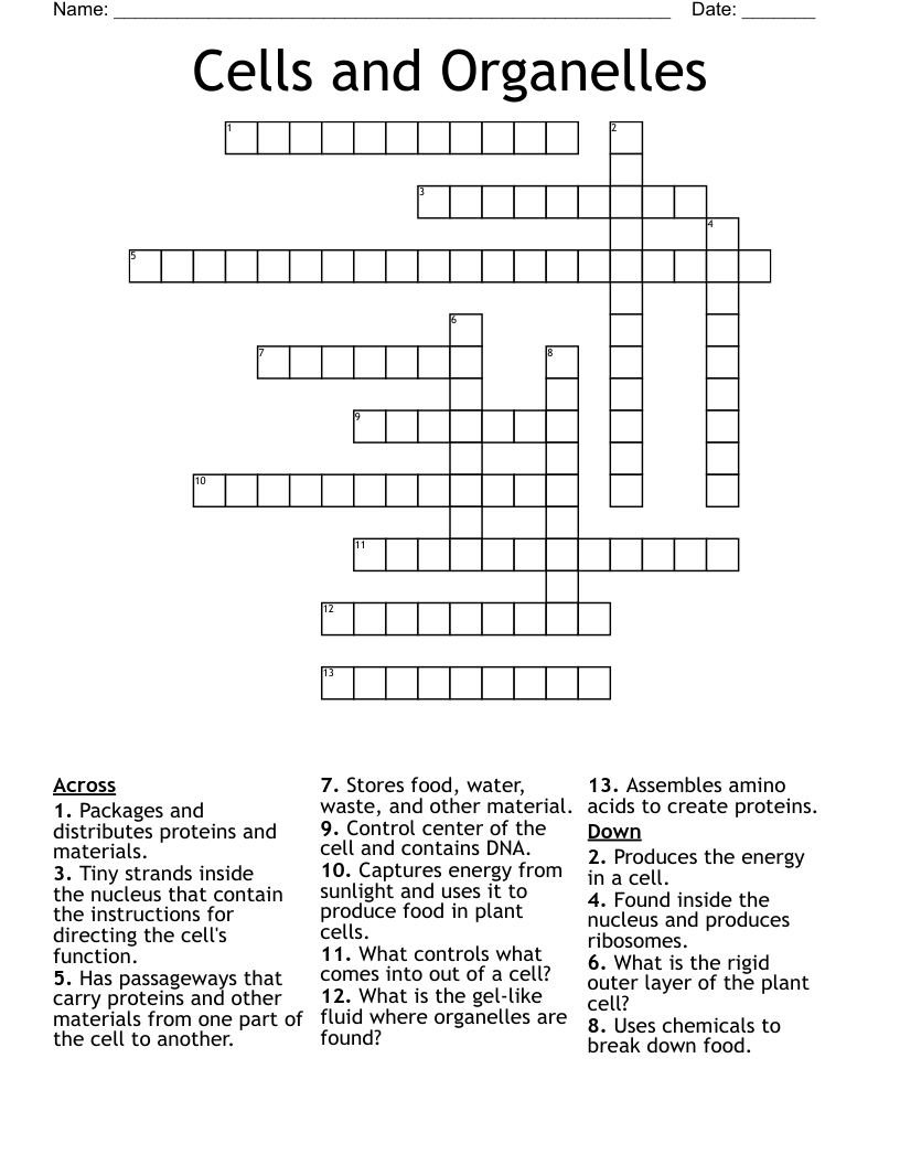 Cells and Organelles Crossword