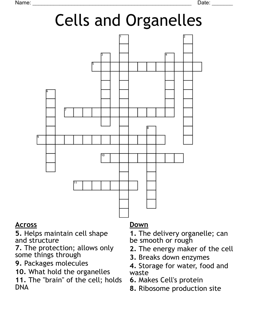 Cells and Organelles Crossword