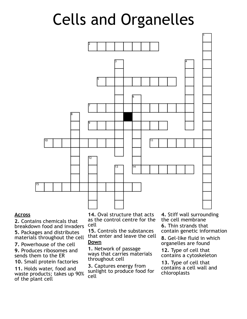 Cells and Organelles Crossword