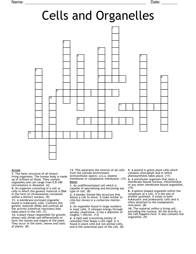 Cells and Organelles Crossword