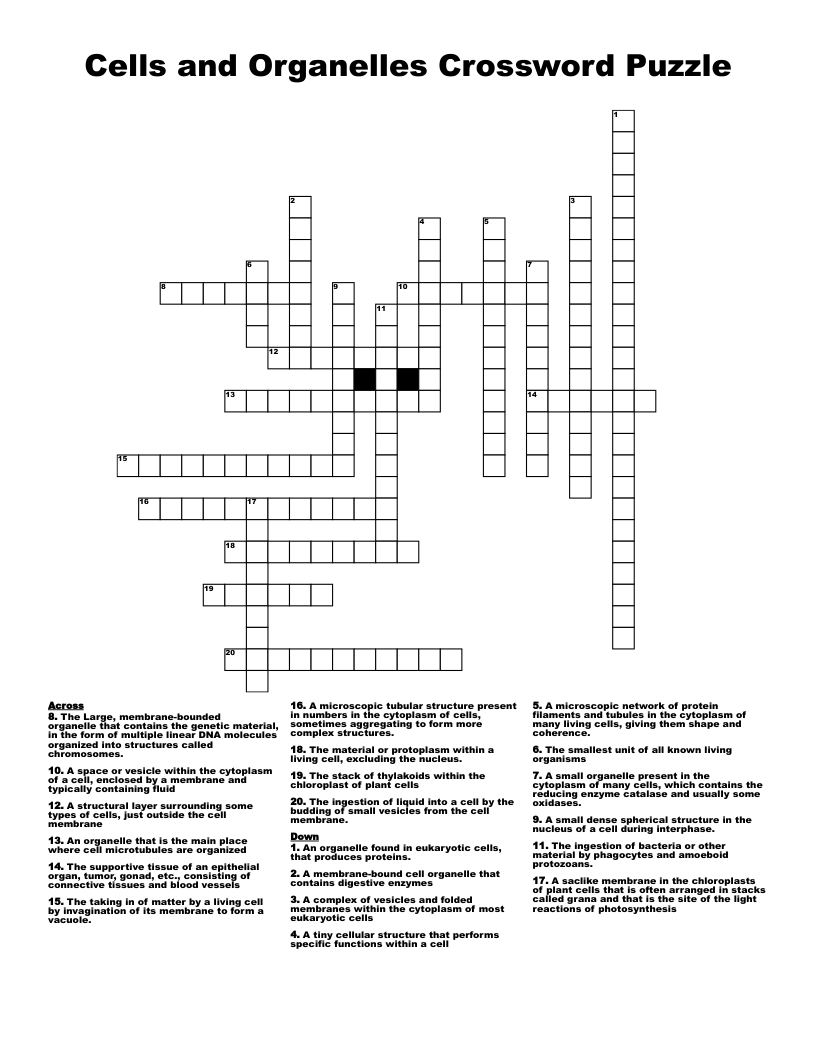 Cells and Organelles Crossword Puzzle