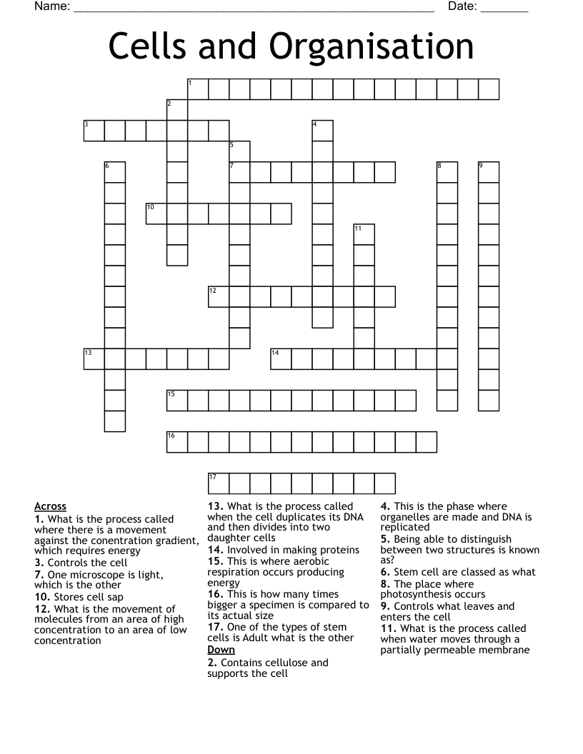 Cells and Organisation Crossword