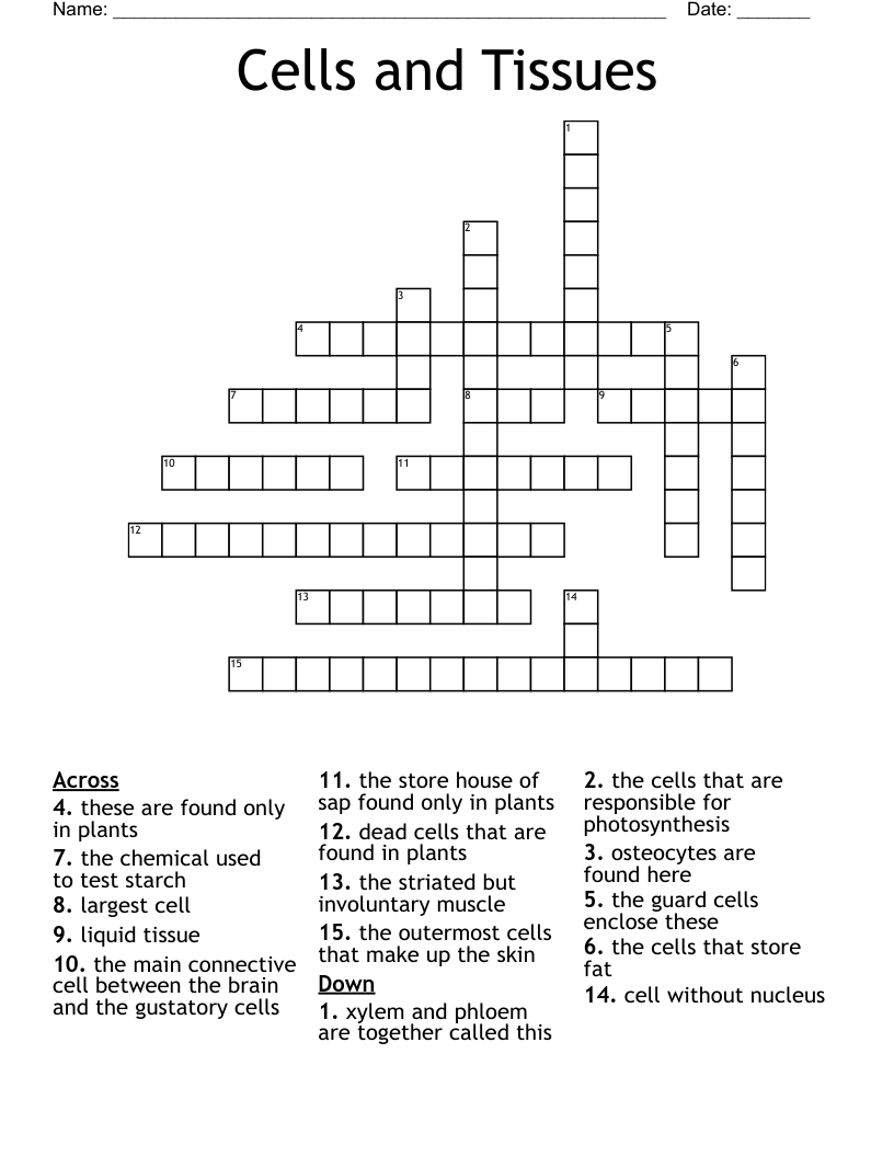 Cells and Tissues Crossword