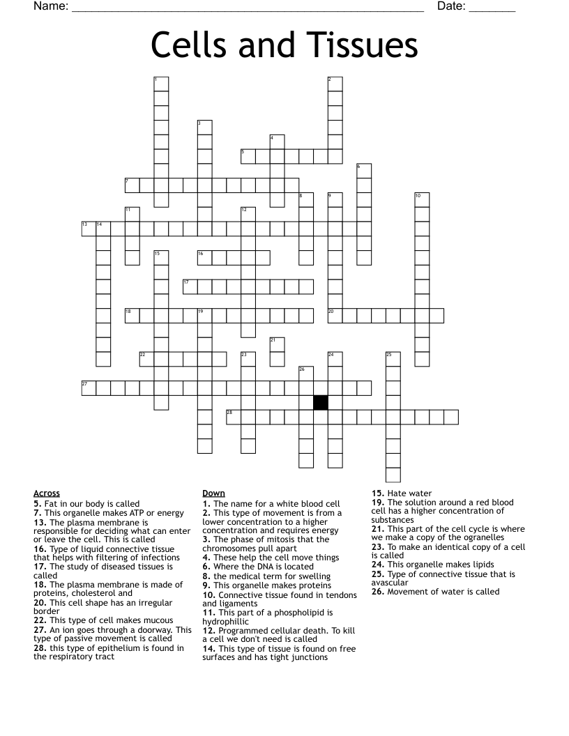 Cells and Tissues Crossword