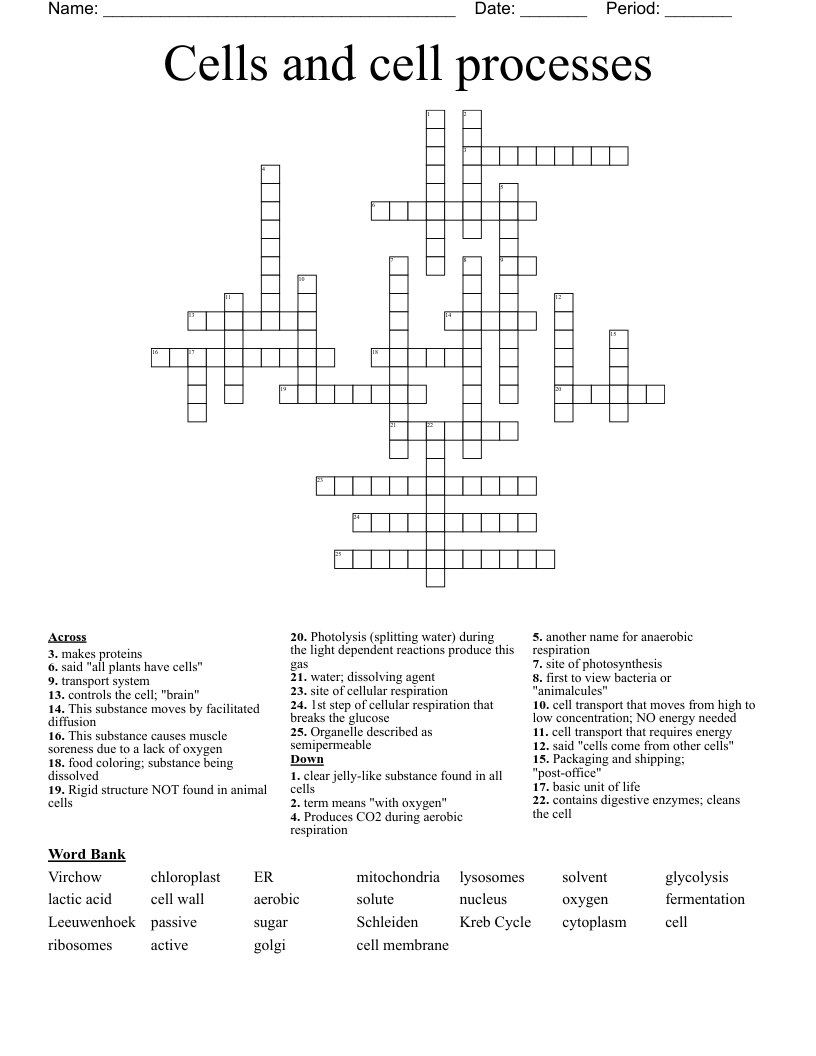 Cells and cell processes Crossword
