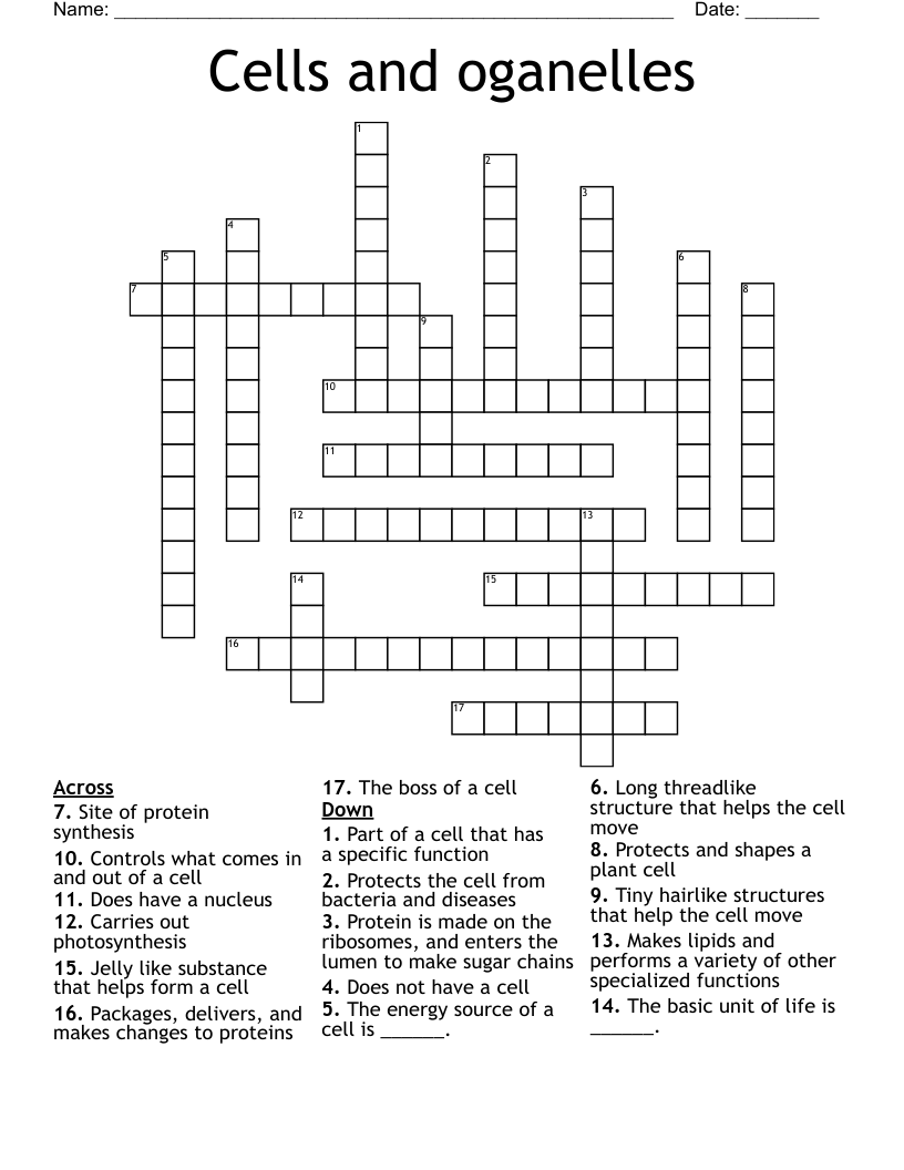 Cells and oganelles Crossword