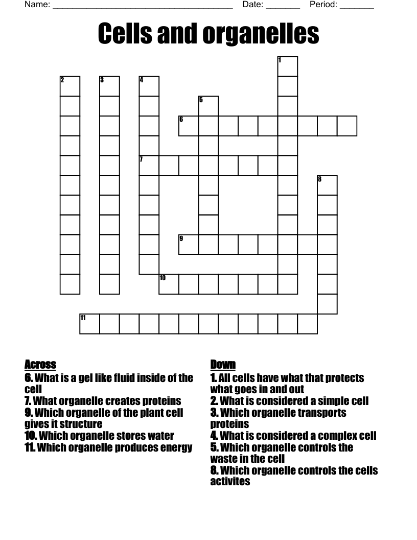 Cells and organelles Crossword