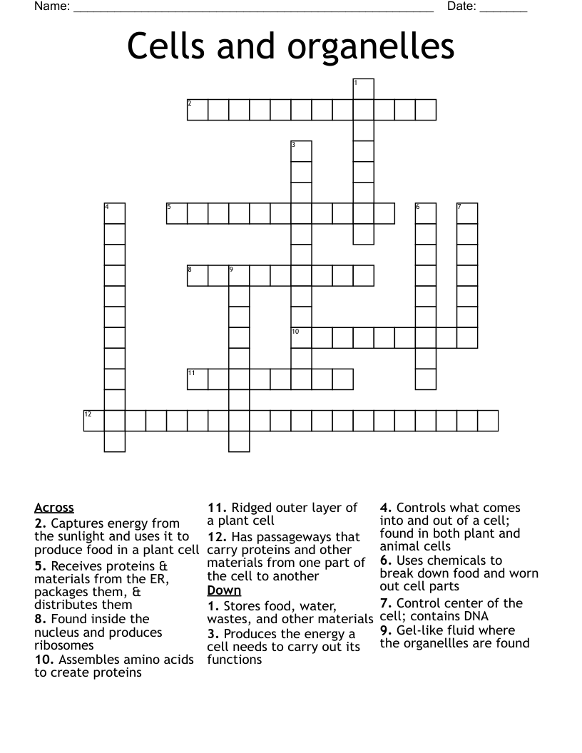 Cells and organelles Crossword