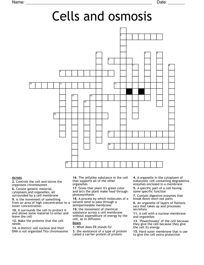 Cells and osmosis  Crossword