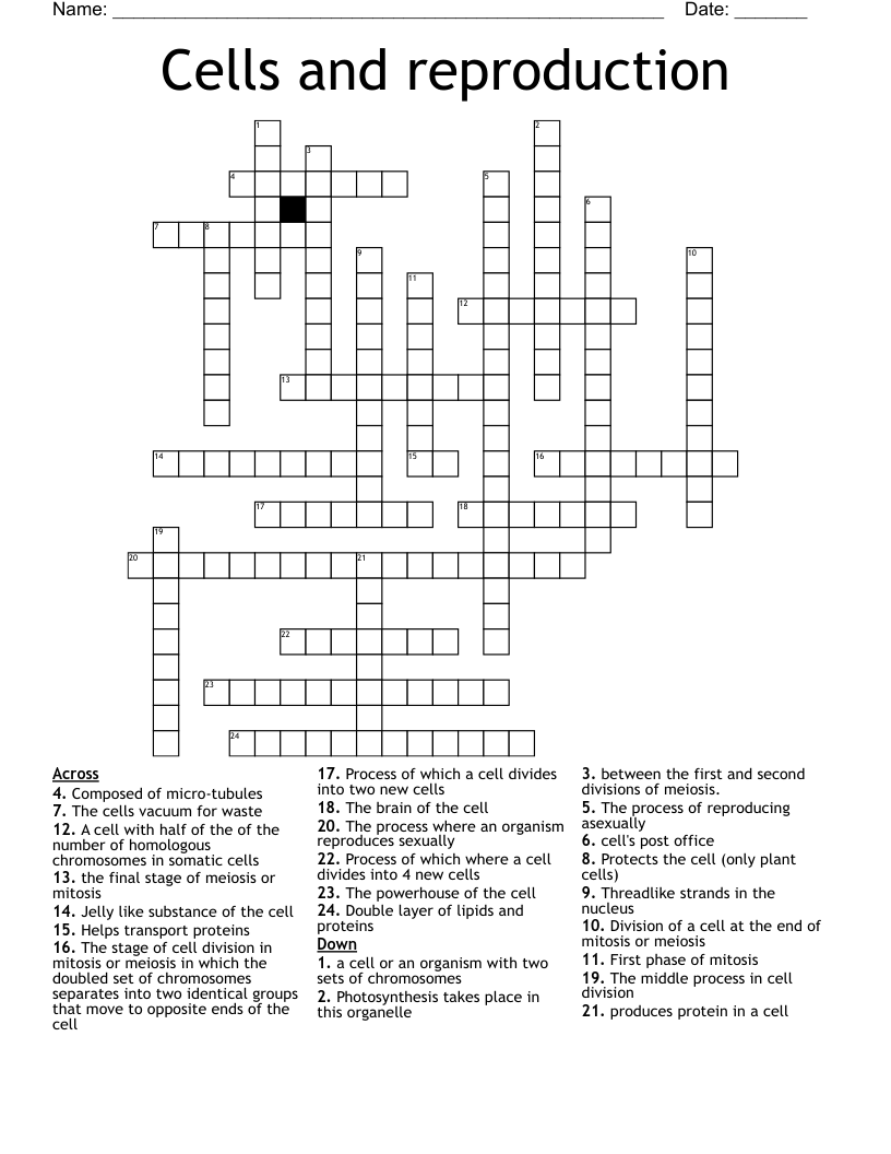 Cells and reproduction Crossword