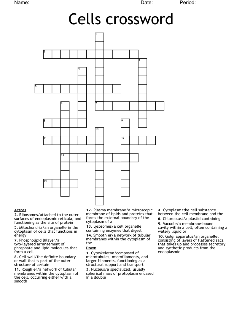 Cells crossword 
