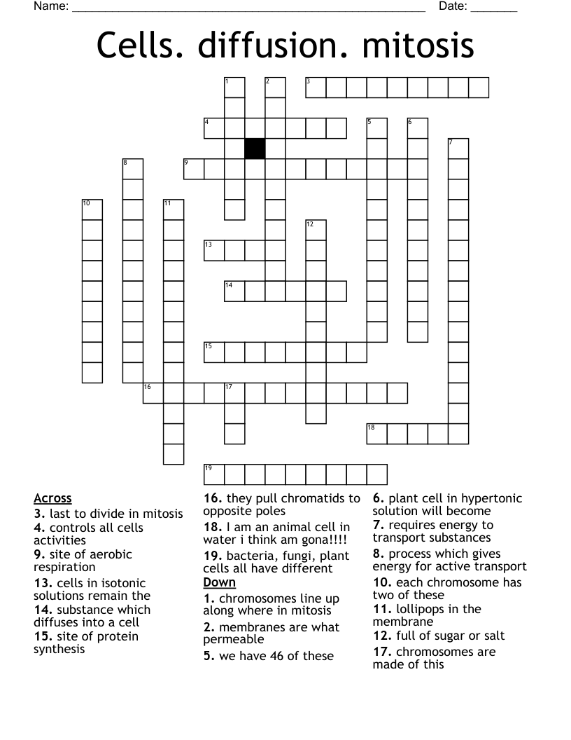 Cells. diffusion. mitosis Crossword