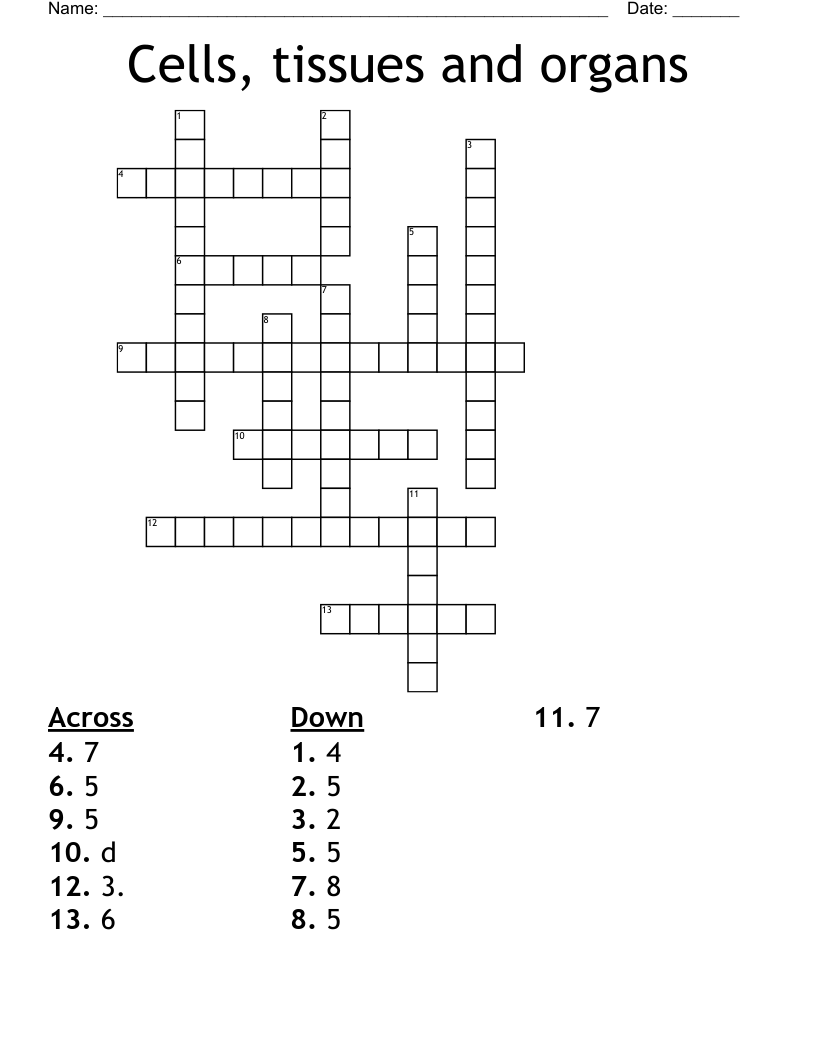 Cells, tissues and organs Crossword
