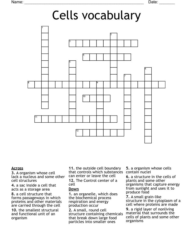 Cells vocabulary Crossword