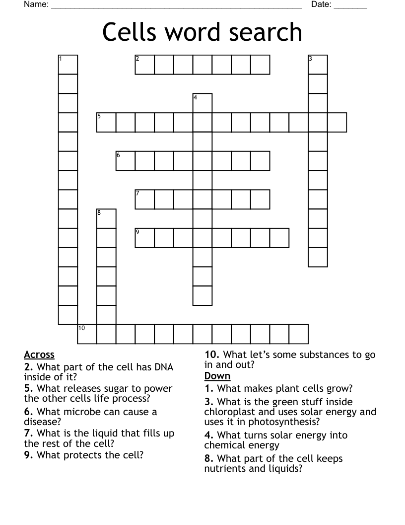 Cells word search Crossword