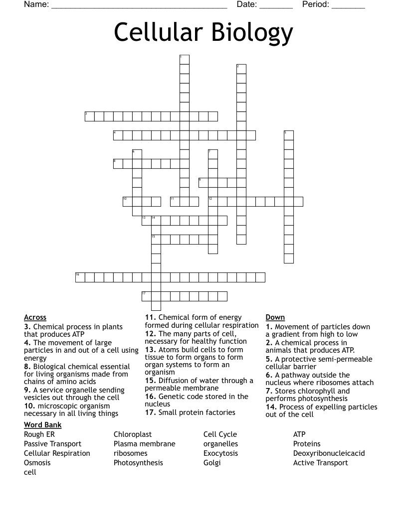Cellular Biology Crossword