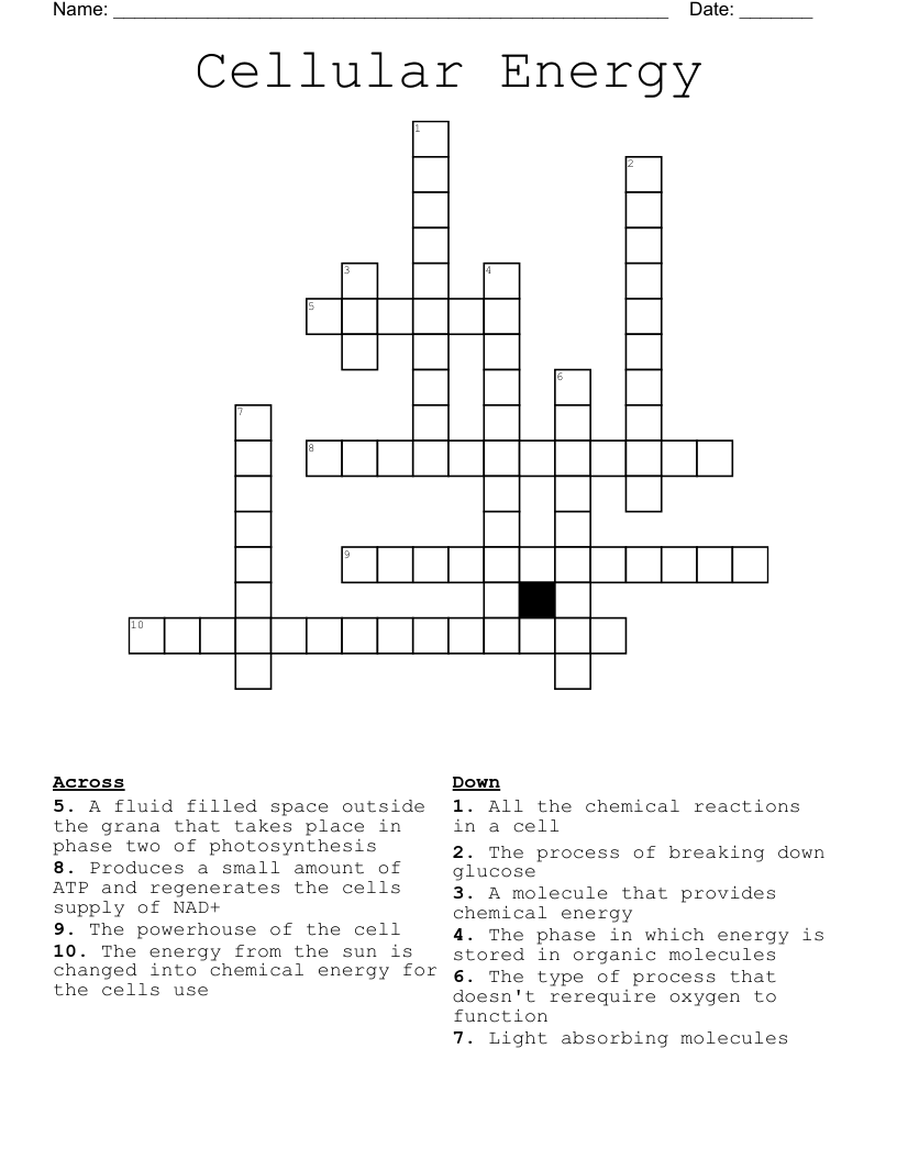 Cellular Energy Crossword